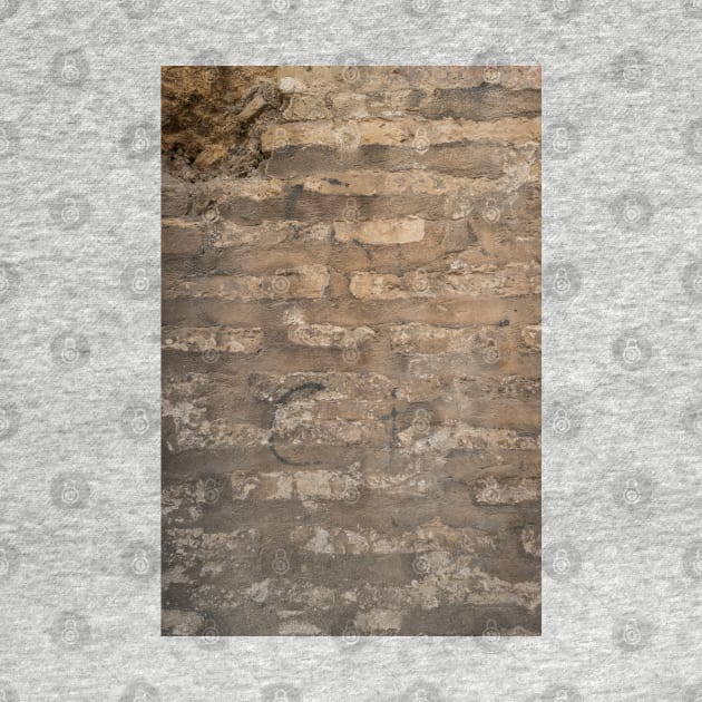 Old brick wall with cracks and scratches. Brick wall background. Distressed wall with broken bricks texture. House facade. by AnaMOMarques